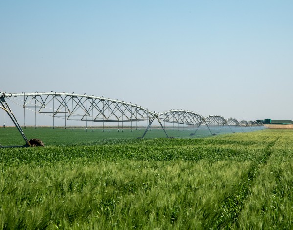 O sistema de irrigação por pivô central JNTECH de 168 kWp alimentado por energia solar foi operado com sucesso no Zimbábue