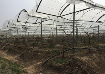 Projeto de irrigação solar por gotejamento de 7,5 kW em Xuzhou
