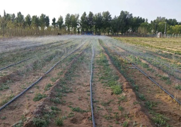 Projeto de demonstração de irrigação de terras agrícolas no norte de Shaanxi